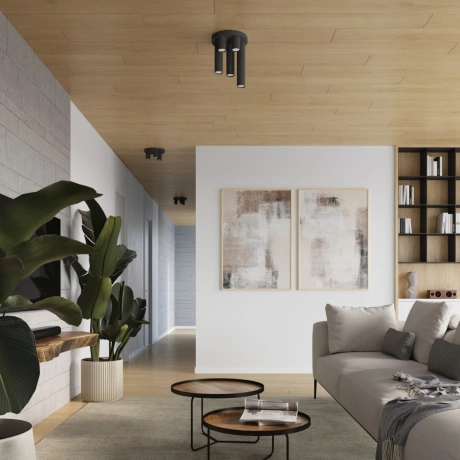 Plafón LAGOS 5P blanco