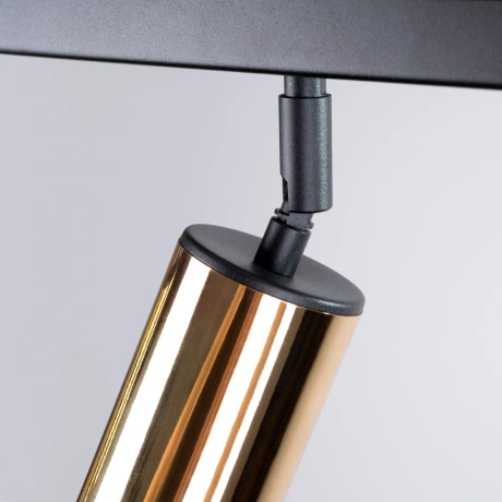 Lámpara de techo WINX 4L negro/oro