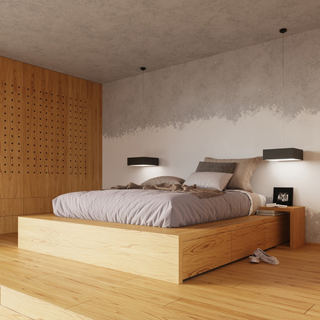 Plafón de techo HORUS 25 NEGRO + 1x bombilla LED E27 3000K Cálida 7,5W 620lm