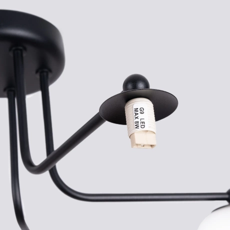 Araña ASTRAL 5 negra