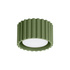 Lámpara de techo AURA 1 verde oliva Gx53
