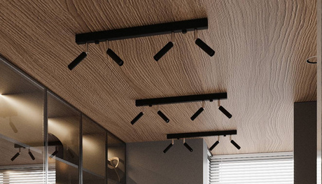 Plafond EYETECH 2 negro + 2x bombilla LED G9 4000K Fría 4,5W 530lm