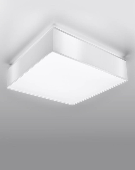 Plafón de techo HORUS 25 BLANCO + 1x bombilla LED E27 3000K Cálida 7,5W 620lm