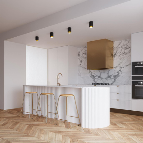 Plafond NESI negro + 1x bombilla LED GU-10 3000K Cálida 7W 510lm