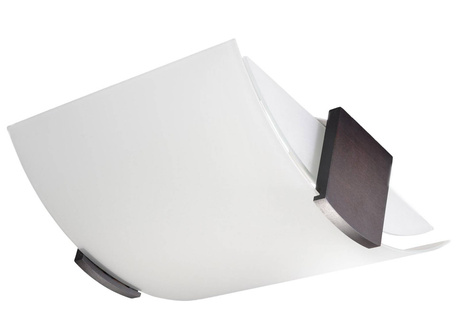 Plafond EMILIO + 2x bombilla LED E27 4000K Fría 7,5W 650lm