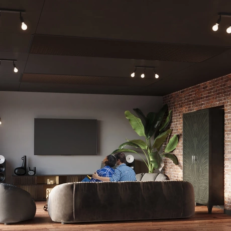 Lámpara de techo FORNES 2 negro