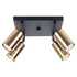 WINX 4 Plafón negro/oro + 4x bombilla LED GU-10 3000K Cálido 7W 510lm