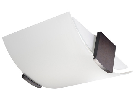 Plafond EMILIO + 2x bombilla LED E27 4000K Fría 7,5W 650lm