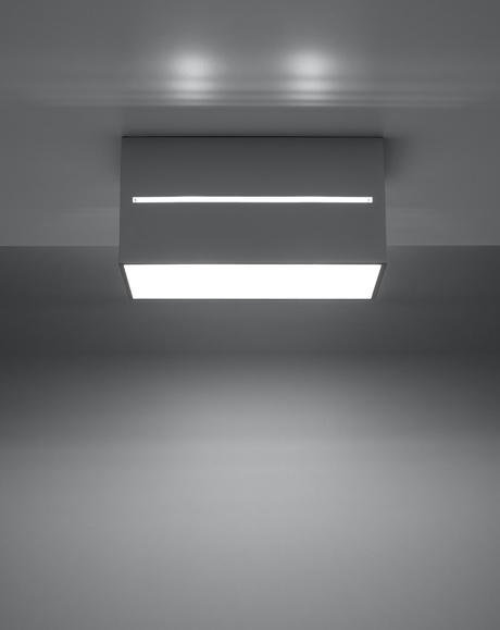 Plafond LOBO MAXI gris + 2x bombilla LED G9 3000K Cálida 4,5W 510lm