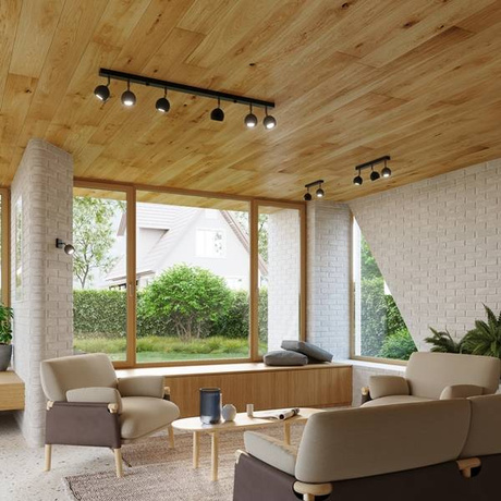 Plafond OCULARE 2 negro + 2x bombilla LED GU-10 3000K Cálido 7W 620lm