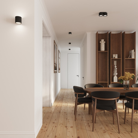 Lámpara de techo AURA 1 negro Gx53