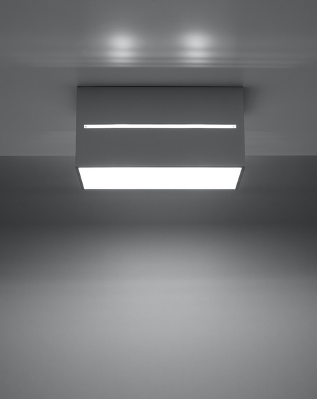 Plafond LOBO MAXI gris + 2x bombilla LED G9 3000K Cálida 4,5W 510lm